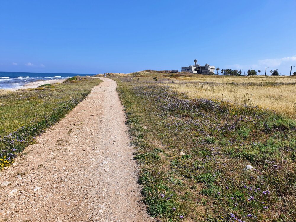 תל שקמונה והמכון לחקר הימים והאגמים (צילום: חנן מרקוביץ)