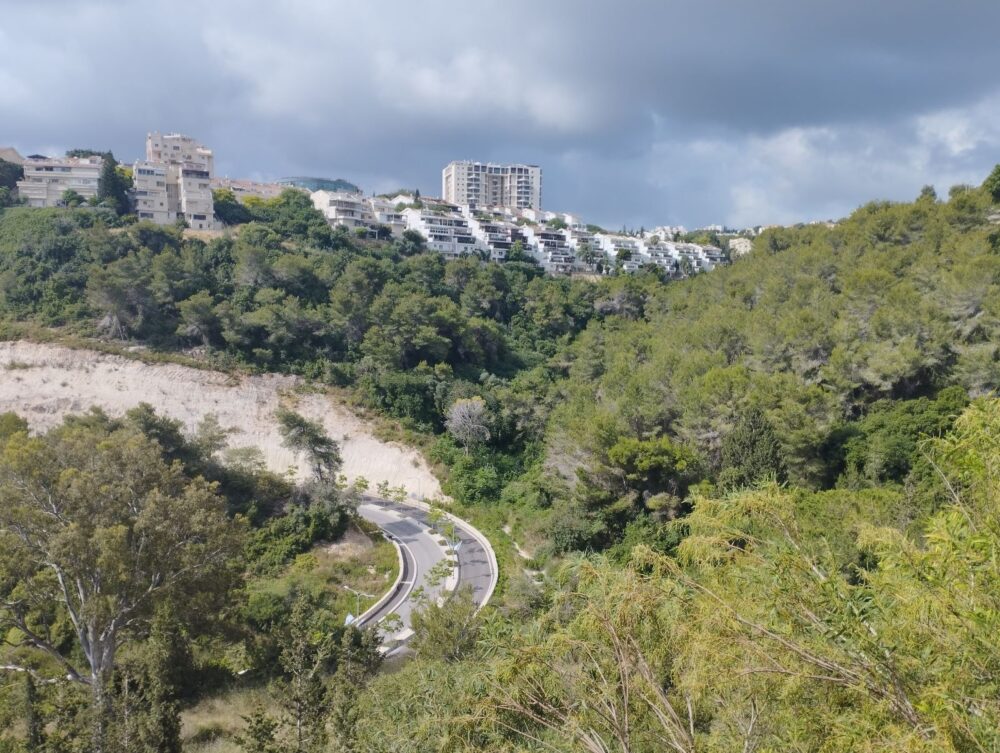 ואדיות בחיפה (צילום: ענבל חן ברגב)