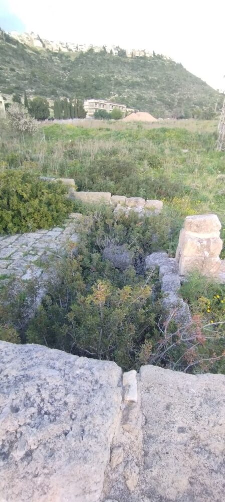 חרבת קסטרא, משקיפה אל שכונות רכס הכרמל (צילום : ענבל חן ברגב)