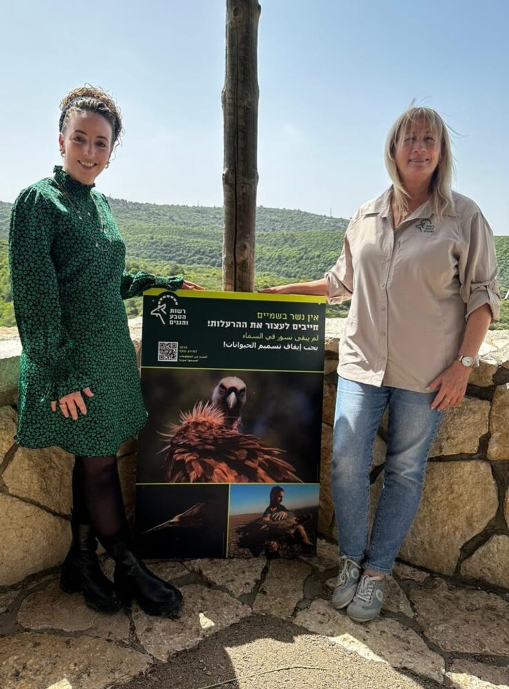 מצילים את הנשרים בחיפה (צילום: דוברות המשרד להגנת הסביבה)