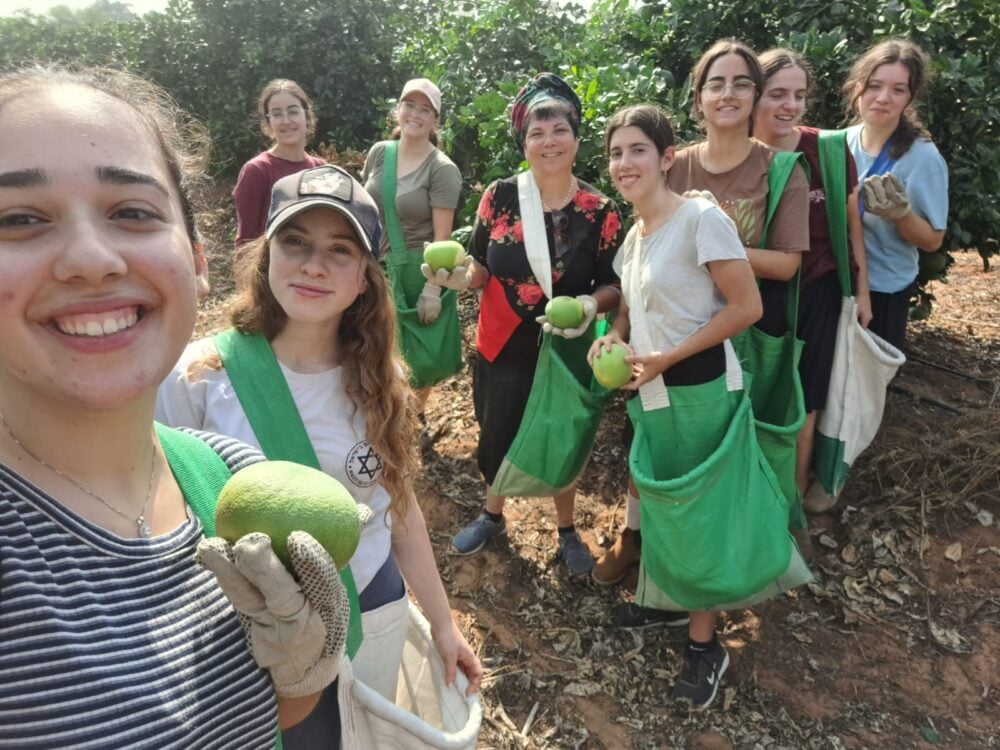 התלמידות בחיפה מתגייסות לעזור לחקלאים (צילום: אולפנת אמית חיפה)