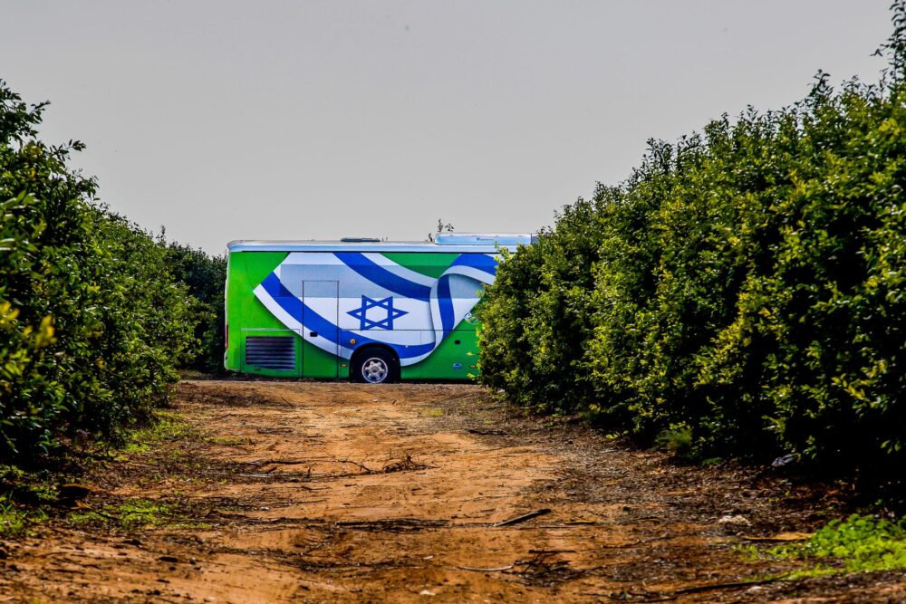 ציור מקסים באמצע הקטיף (צילום: דרור שמילוביץ)