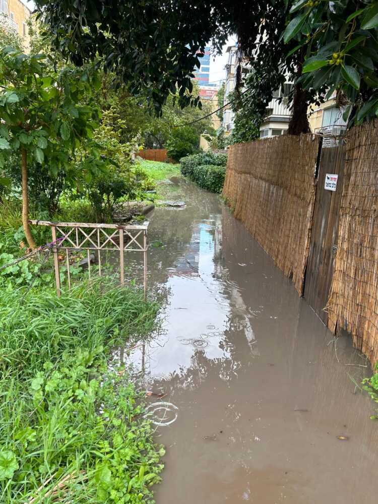 מים עומדים בבת גלים לאחר הגשמים (צילום: מריאנה אוליפרובסקי)