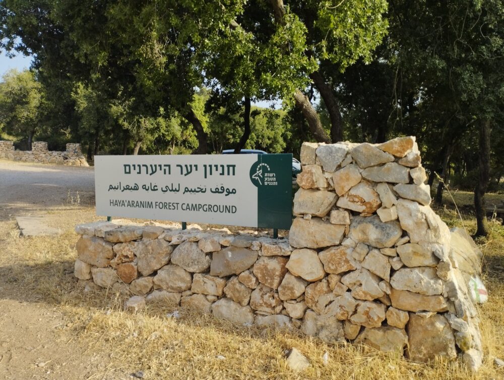 חניון יער היערנים (צילום: ענבל חן ברגב)