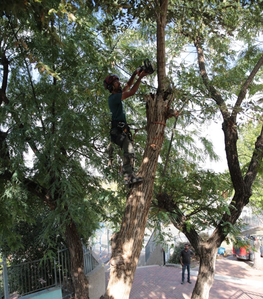 היערכות לחורף בקרית אתא (צילום: קרית אתא)