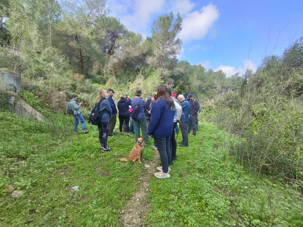 סיור בשביל סובב סביוני דניה (צילום: ענבר אושפיז)