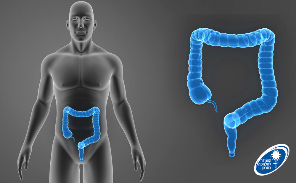 תמונת אילוסטרציה חודש המודעות לסרטן המעי הגס 2024 - לשימוש חופשי (אילוסטרציה: האגודה למלחמה בסרטן)