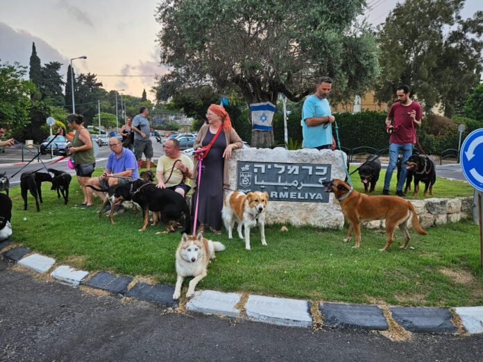 בעלי הכלבים (צילום: רונה פרקיס)